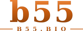 b55 logo